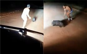 澳洲警察拿石頭砸死袋熊（圖／翻攝自WildAware臉書粉絲專頁）