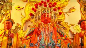 寶島神很大第98集完整版 台灣最威的男女醫「神」長命百歲又能增產報國（節目截圖）