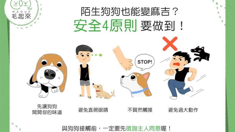 陌生狗狗變麻吉？　安全4原則要做到