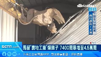 馬留農地工廠爛攤！暴增至4.5萬間
