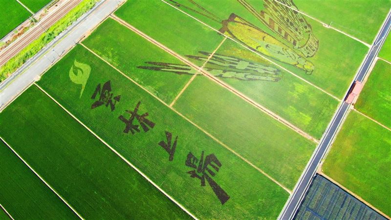 國慶連假　遊雲林賞彩繪田看布袋戲