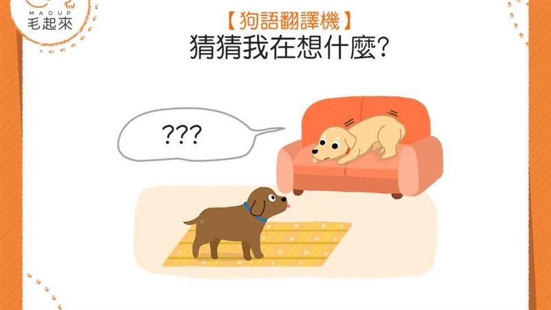 身體緊繃、眼睛瞪大，狗狗想說什麼？