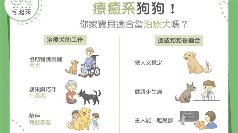 治療犬是什麼？我家狗能成治療犬嗎？