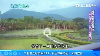 意外創業！香草教母將故鄉變普羅旺斯