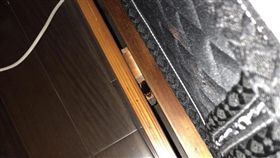 睡到一半癢癢的…驚見「肥大黑影」在手上爬！　苦主內心一秒崩塌。（圖／翻攝自PTT）