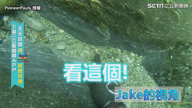 達人潛水淘金　一趟竟賺達3千8！