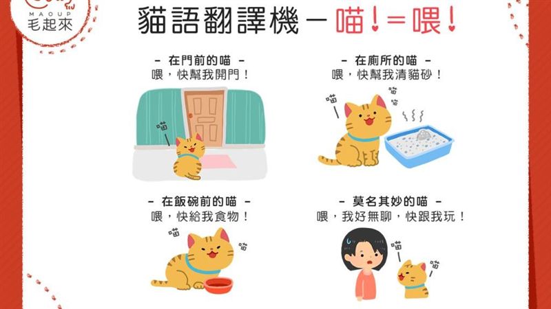 貓總是對你喵喵叫？其實「喵！=喂」