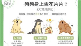 名家專用／毛起來MAOUP（勿用）