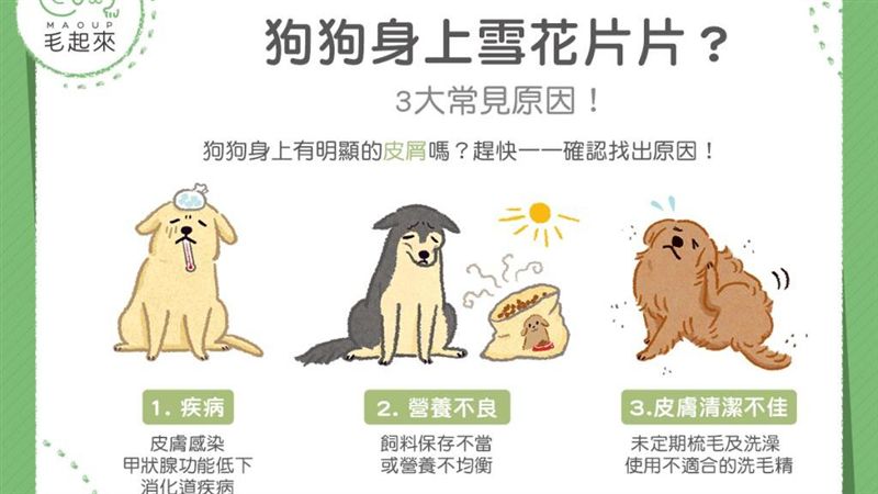 狗狗身上雪花片片？　3大常見原因！