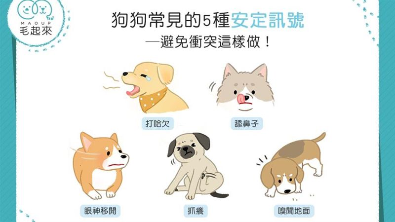 狗狗常見的安定訊號！避免衝突這樣做