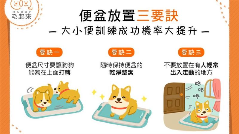 狗狗在家「不方便」？便盆擺放有訣竅