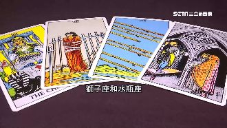 塔羅牌測下週運勢！獅子、水瓶狀況多