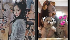 陳芳語(圖/翻攝自臉書)