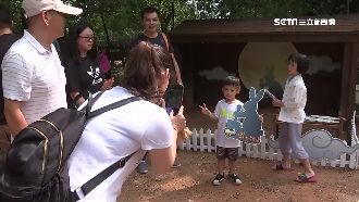 埔心牧場加碼推優惠！國慶搶攻兒童財