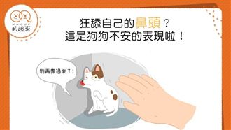狂舔自己的鼻頭？這是狗狗不安的表現