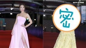 蔡淑臻（圖／記者邱榮吉、林士傑、林聖凱攝影)