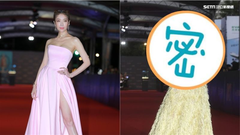 蔡淑臻紅毯造型NG！她慘被評洗車刷