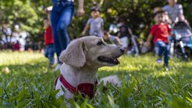 全台主題遊樂園 雙十國慶連假