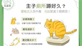 名家專用／毛起來MAOUP（勿用）