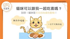 名家專用／毛起來MAOUP（勿用）
