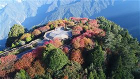 ▲森林遊樂區（圖／林務局提供）