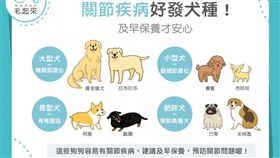 名家／毛起來（勿用）