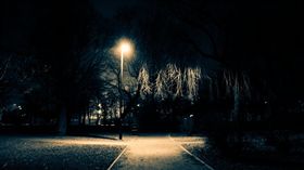 崩潰,喝醉,性侵,公車,英國,相信,公園,反抗,威脅,草叢, 圖/翻攝Pexels https://parg.co/L4j