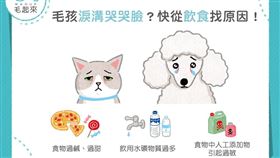 名家／毛起來（勿用）