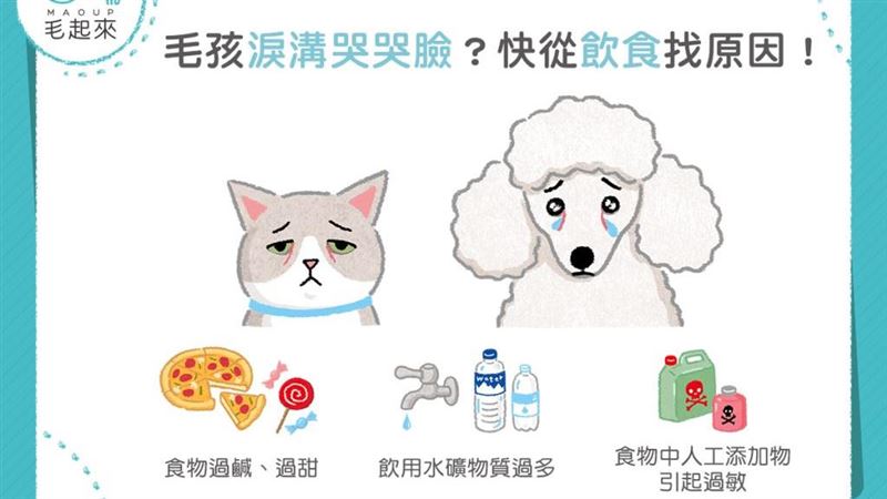 毛孩淚溝哭哭臉？快從飲食找原因！