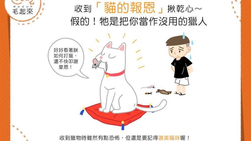 貓咪帶來小禮物？難道真的是貓的報恩
