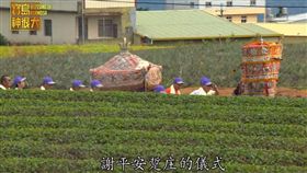 全家的靠山秋報感恩季 寶島神很大192集（節目截圖）