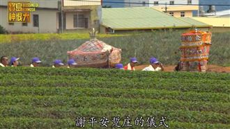 台灣感恩節「謝平安踅庄」人神零距離