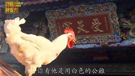 全家的靠山秋報感恩季 寶島神很大192集（節目截圖）