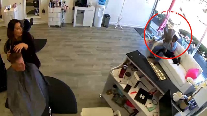 正港小鹿亂撞！紐約髮廊遭鹿破門而入