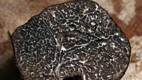 松露（圖／翻攝自Pixabay）