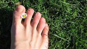  腳指甲怎麼剪？醫師曝正確剪法　網友驚呆：我剪錯30年…　（圖／翻攝自Pixabay）