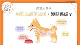 名家專用／毛起來MAOUP（勿用）