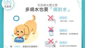 名家專用／毛起來MAOUP（勿用）