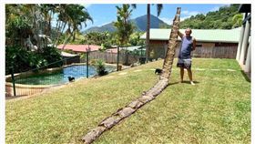 有民眾在凱恩斯（Cairns）的郊區小溪附近發現了一條「7公尺長」的蛇皮，原以為是動物脫皮的自然現象，但仔細觀察才發現「居然是被人強剝的！」據蛇類專家表示，這品種可能是原產於東南亞的「網紋蟒」。（圖／翻攝自ABC News）