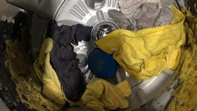 噁！弟偷把「洗車用具」丟洗衣機…哥一看怒炸：都30歲了（圖／翻攝自爆怨公社）