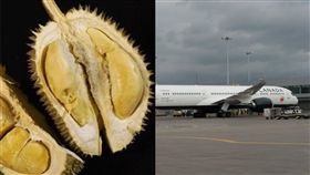 榴槤,飛機,折返,加拿大（圖／翻攝自推特；Pixabay）