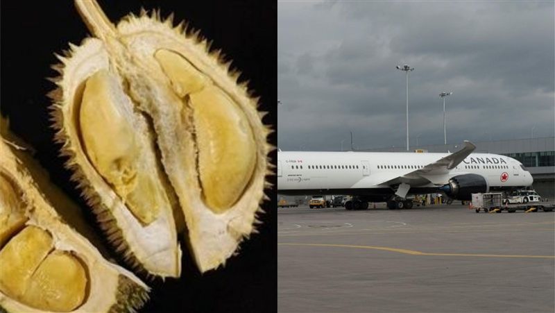 榴槤臭到熏死人！飛機機師凍未條折返