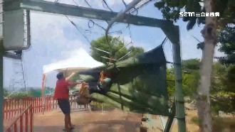 玩空中飛人竟被拋飛！控業者不顧安全