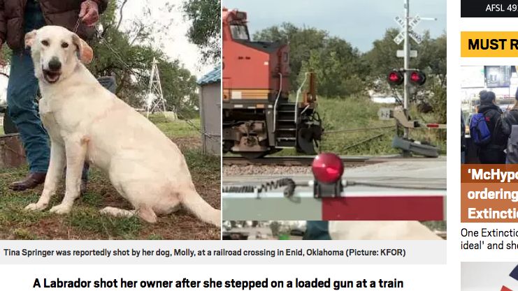 狗亂跳誤扣板機 　女大腿遭射狂噴血