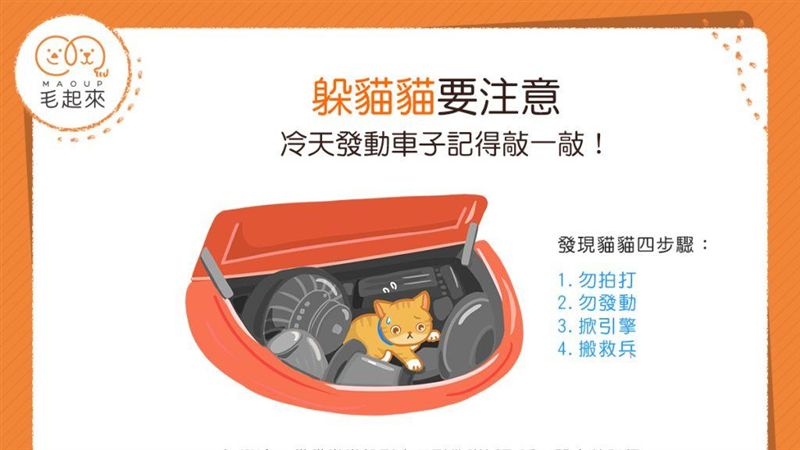 車主看過來！當心汽車引擎蓋裡躲貓貓