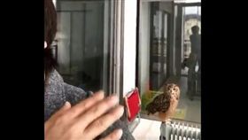 輕拍肩膀3下...他一秒召喚「巨大萌獸」　70萬人跪了：這怎麼養？
（圖／翻攝自推特@Gen3Act03）