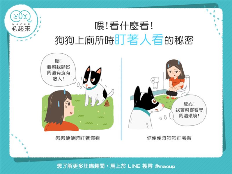 狗狗上廁所時　盯著人看的秘密