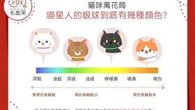 名家／毛起來（勿用）