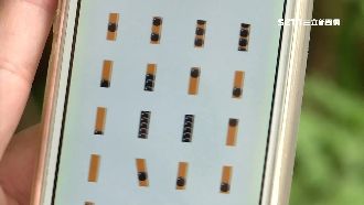 用LINE請珍奶　24種情境廢到笑