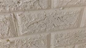 退房見壁貼全「小洞」！房東氣炸扣押金…房客辯：小強咬的（圖／翻攝自爆怨公社）